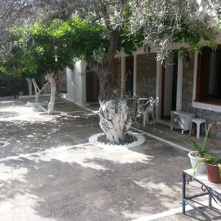 Olive Trees Poros Town Exterior photo