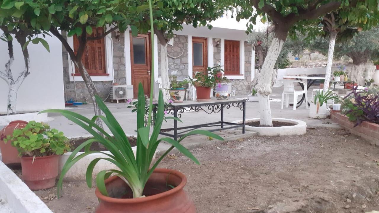 Olive Trees Poros Town Exterior photo