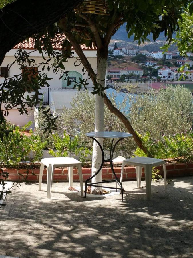 Olive Trees Poros Town Exterior photo