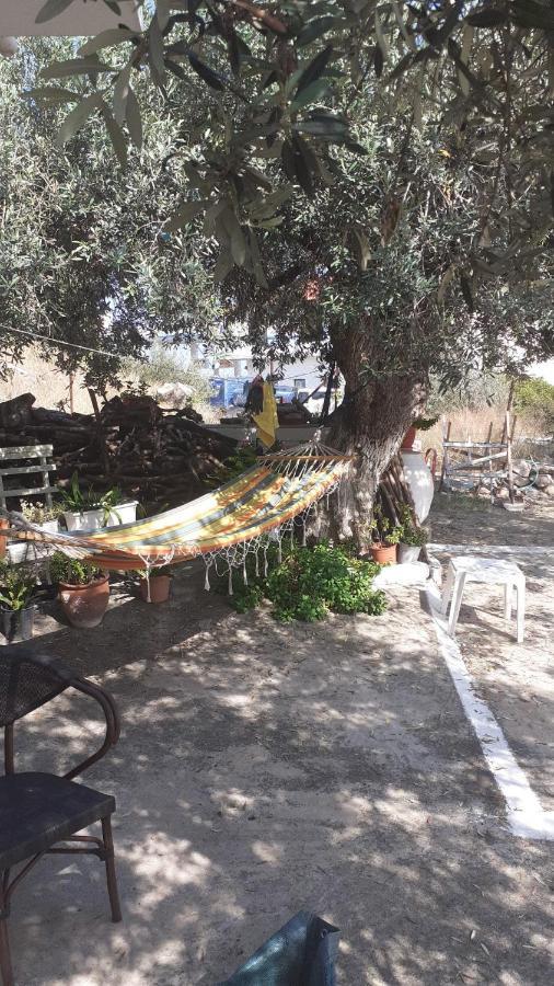 Olive Trees Poros Town Exterior photo